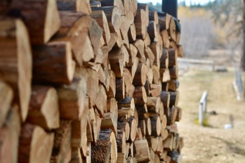 Cut Timber