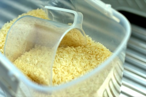 Raw Rice